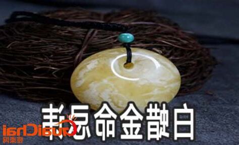 白蜡金命 意思
